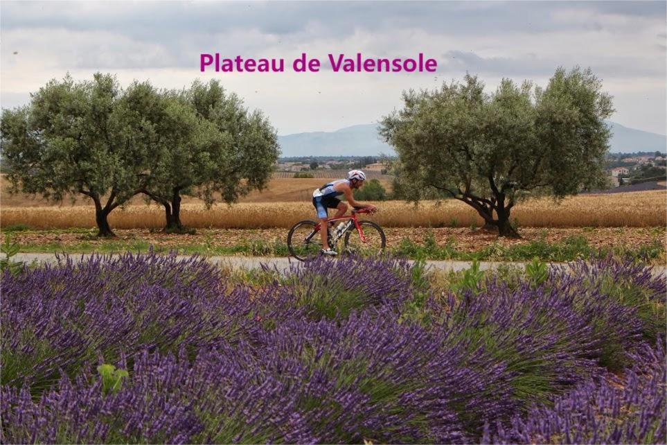 Coeur De Ville, T2, Rue Pietonne, Digne Les Bains Eksteriør billede